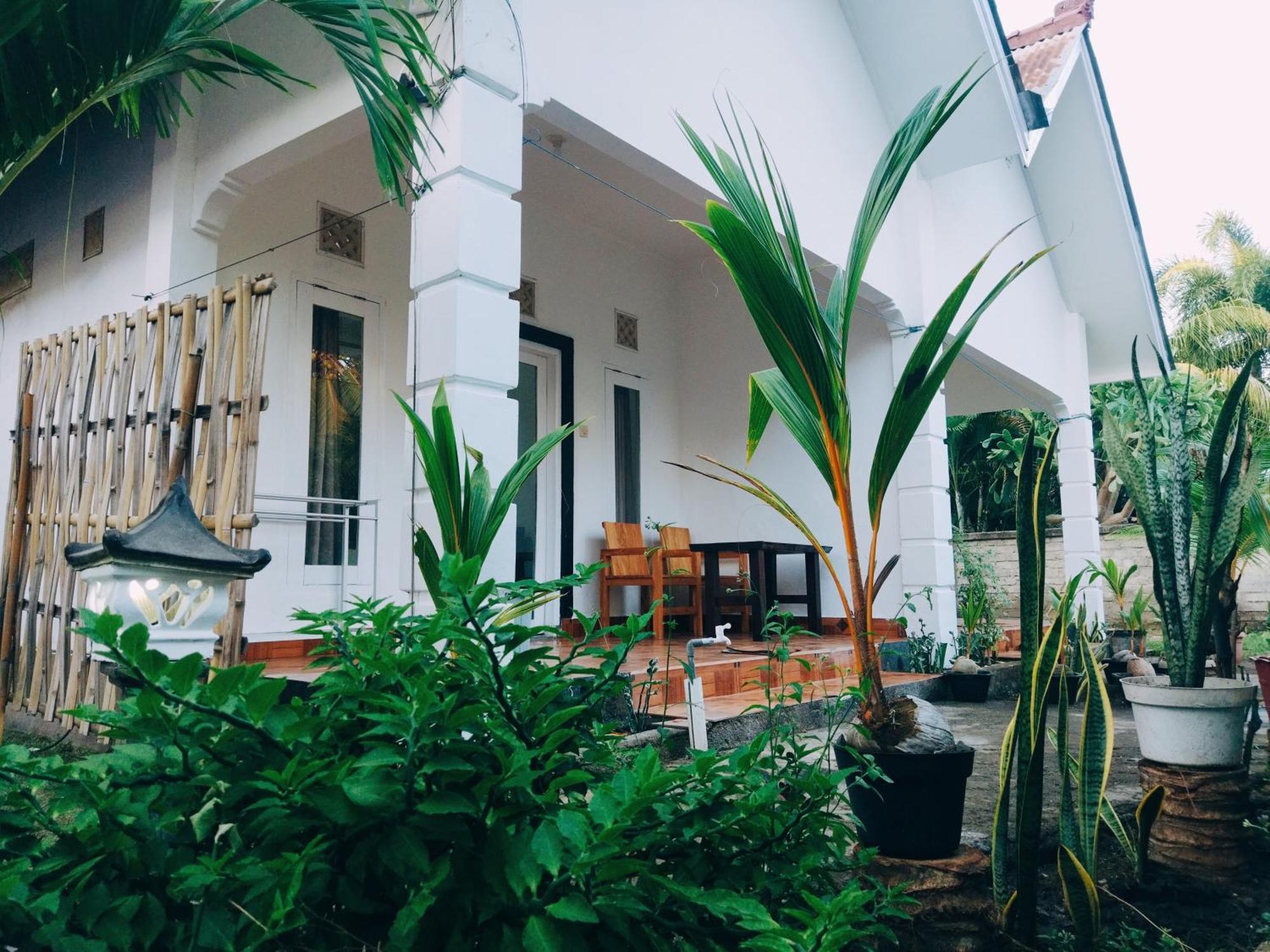 Balengku Homestay Gili Air Luaran gambar
